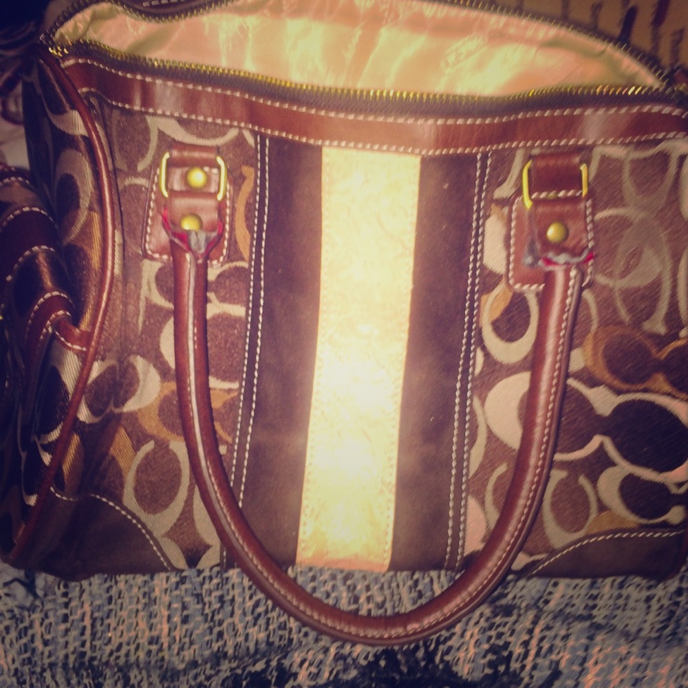 Pocketbook ( brown stripe )